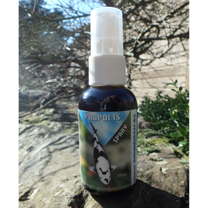 Propolis Spray 50ml De Koidokter