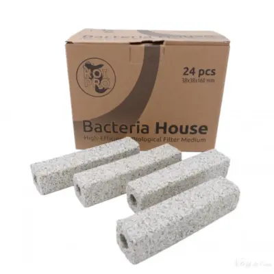 Bacteria House 24st